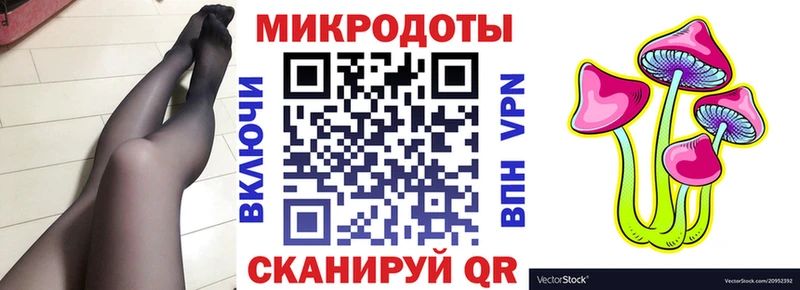 Псилоцибиновые грибы Psilocybe  Ярцево 